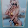Pamela Anderson Autographed 10x8 Photo Framed with Certificate of Authenticity (COA) Image 5