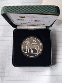 irish silver proof coin