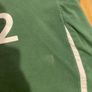 Classic Irish Rugby Commemorative Jersey Image 5
