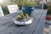 Fabulous Antique W. Adams Two-Handled Tureen with Cacti Garden - A Fabulous Unique and Decorative Item for Display Indoors