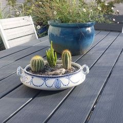 Fabulous Antique W. Adams Two-Handled Tureen with Cacti Garden - A Fabulous Unique and Decorative Item for Display Indoors