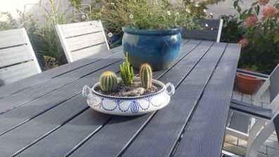 Fabulous Antique W. Adams Two-Handled Tureen with Cacti Garden - A Fabulous Unique and Decorative Item for Display Indoors