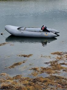 Zodiac Dingy Yamaha Engine