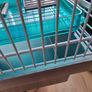 hamster cage and playground cage Image 4