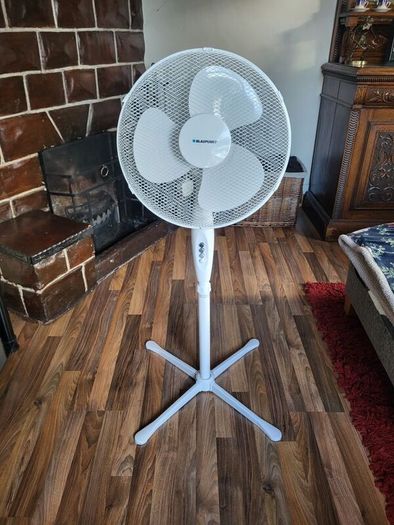Blaupunkt Pedestal Fan