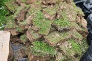 Top soil with grass