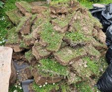 Top soil with grass