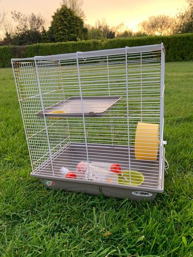 free hamster cage