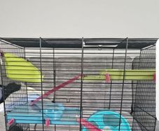 hamster cage