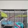 Hamster cage Image 2