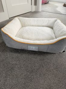pet bed