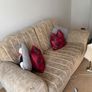 Two sofas free need to be collected today Dublin 12 Image 5