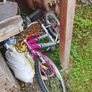 teenager and young adult female bikes Image 3