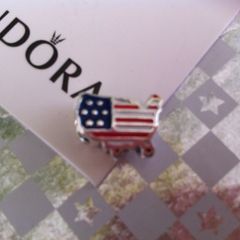 Brand new genuine pandora USA charm