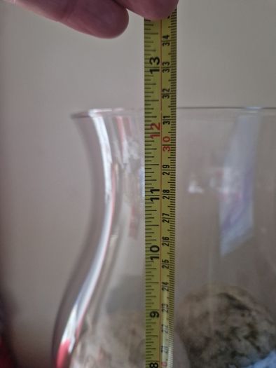 2 Large Delicate Glass Vases
