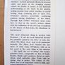 The Black Soul (1981) - Liam O'Flaherty - Wolfhound Press - Irish Fiction Book Image 3