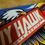Tony Hawk Signature Series Skateboard Image 4