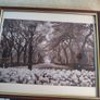 Photographed Framed Picture Of Center Park Ny. Image 2