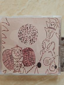 Devendra Banhart CD - Rejoicing In The Hands