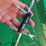 Vintage Victorinox Executive 74mm Rare Discontinued Model Collectable Swiss Army Knife Image 3