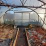 Polytunnel Image 9