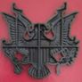 Metal United States eagle. Image 2