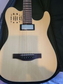 Godin Acousticaster