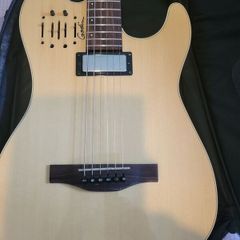 Godin Acousticaster