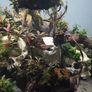 fluval flex Image 4