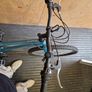 Coyote Callisto mountain bike Image 3