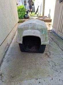 Dog Kennel / Cat House