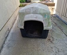 Dog Kennel