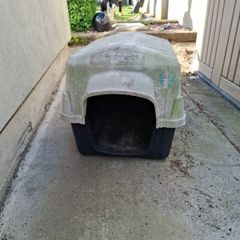 Dog Kennel / Cat House