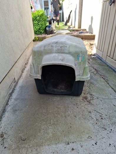 Dog Kennel / Cat House