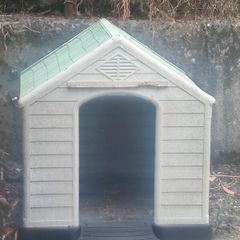 dog house