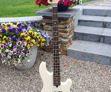 Lakland USA 44-14 Custom