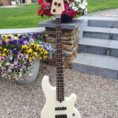 Lakland USA 44-14 Custom