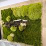 Wall decor 40x50cm natural moss Image 4