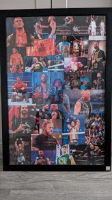WWE collage/poster 67x98cm