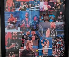 WWE collage/poster 67x98cm