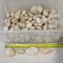 13kg Decorative Plant Pot Topper & Terrarium Stones - 4 Types Image 7