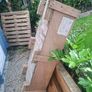Timber Pallets Image 4