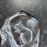 Mats Jonasson Squirrel paperweight Image 2