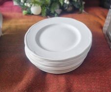 White dinner plates