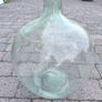carboy Image 2