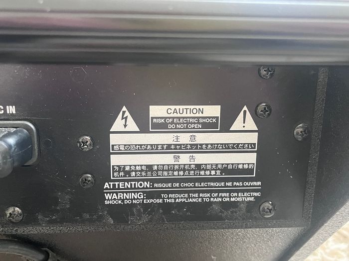 Roland PM-10  Personal Monitor