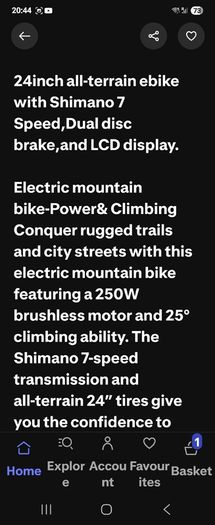 electric bike