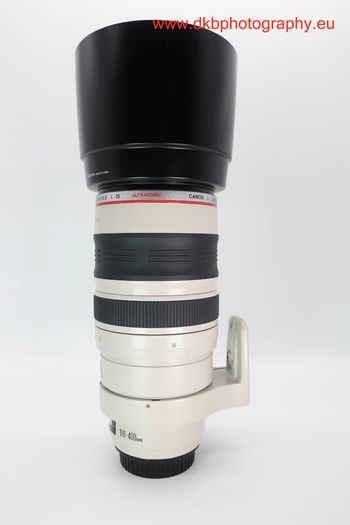 Canon Ef 100-400mm F4.5-5.6l Is Usm Lens #0473