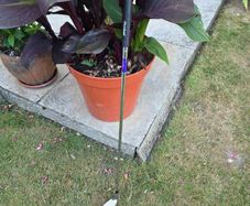 Cleveland VAS 792 8 iron golf club