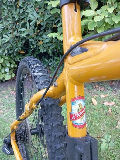 Schwinn mountain bike